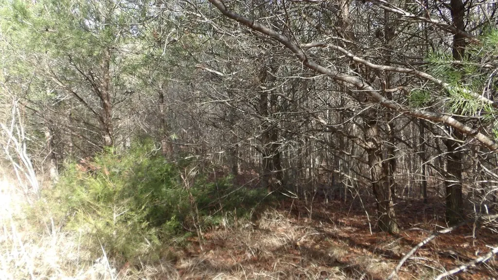 Lot 185 Meadow Lane Spencer TN 38585