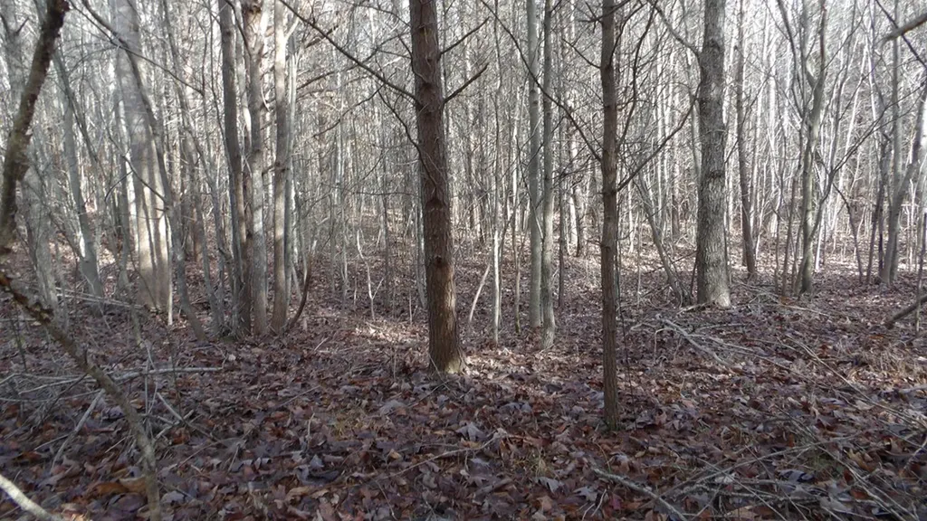 Lot 185 Meadow Lane Spencer TN 38585