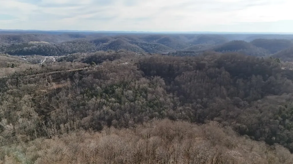 276 Schelley Road Gainesboro TN 38562