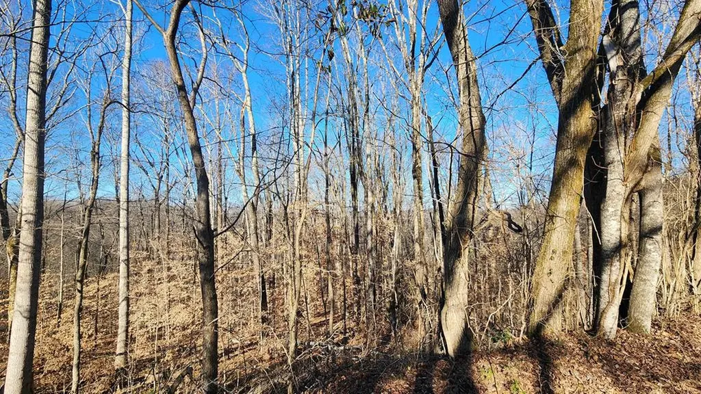 5021 Eagles Cove Road Byrdstown TN 38549