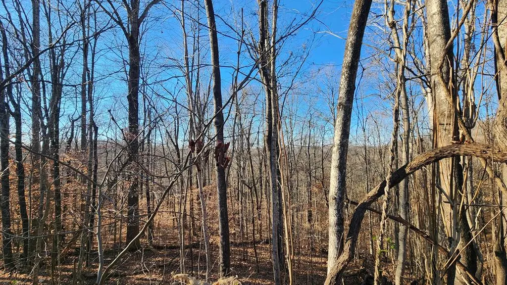 5021 Eagles Cove Road Byrdstown TN 38549