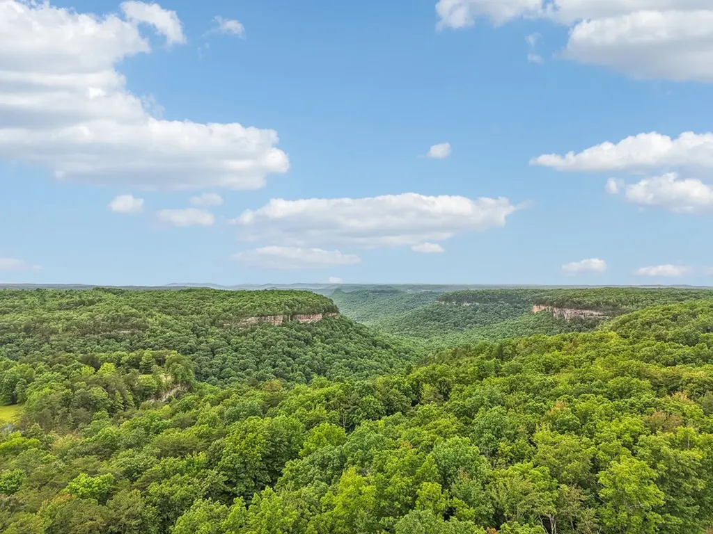 1092 Grandview Way Jamestown TN 38556