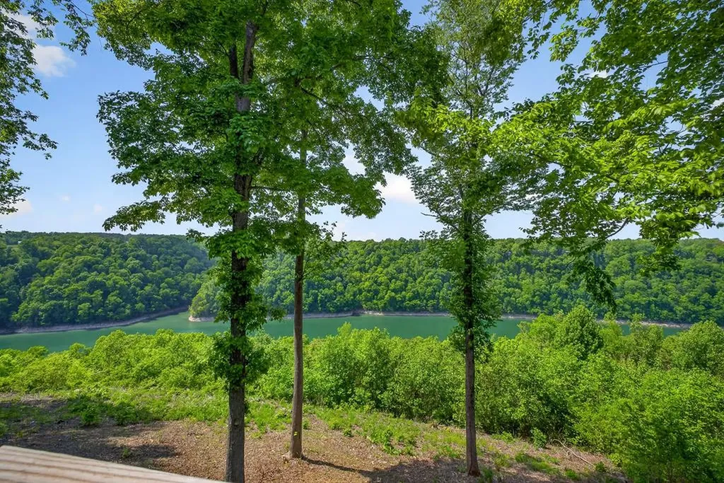 1171 W Hutchins Bend Road Sparta TN 38583