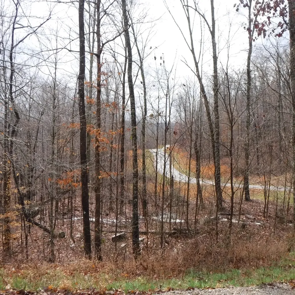 10.85AC Cheyenne Drive Jamestown TN 38556