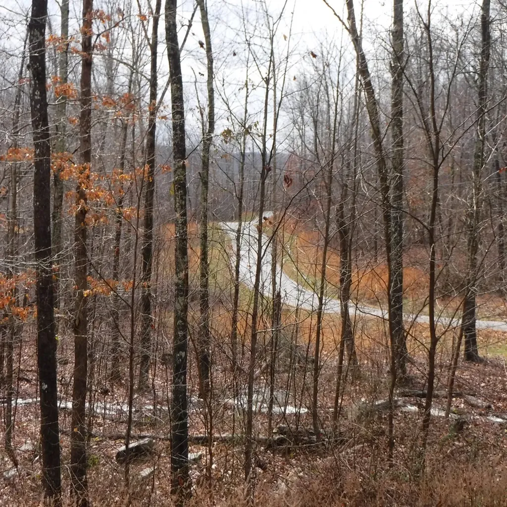 10.85AC Cheyenne Drive Jamestown TN 38556