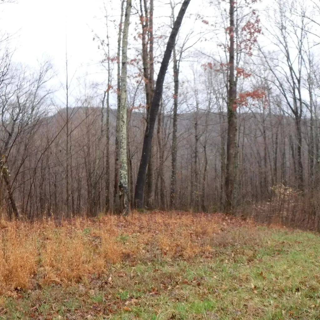 10.85AC Cheyenne Drive Jamestown TN 38556