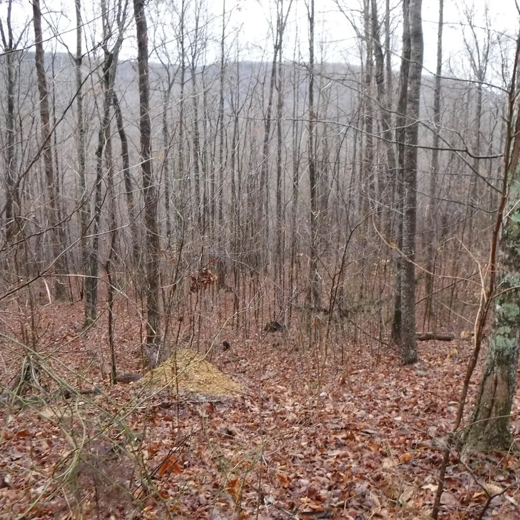 10.85AC Cheyenne Drive Jamestown TN 38556
