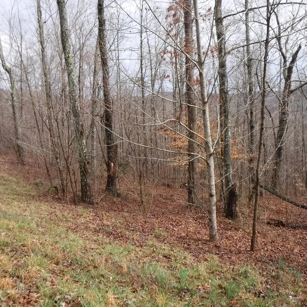 10.85AC Cheyenne Drive Jamestown TN 38556