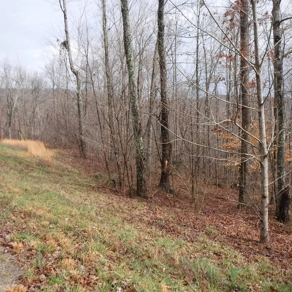 10.85AC Cheyenne Drive Jamestown TN 38556