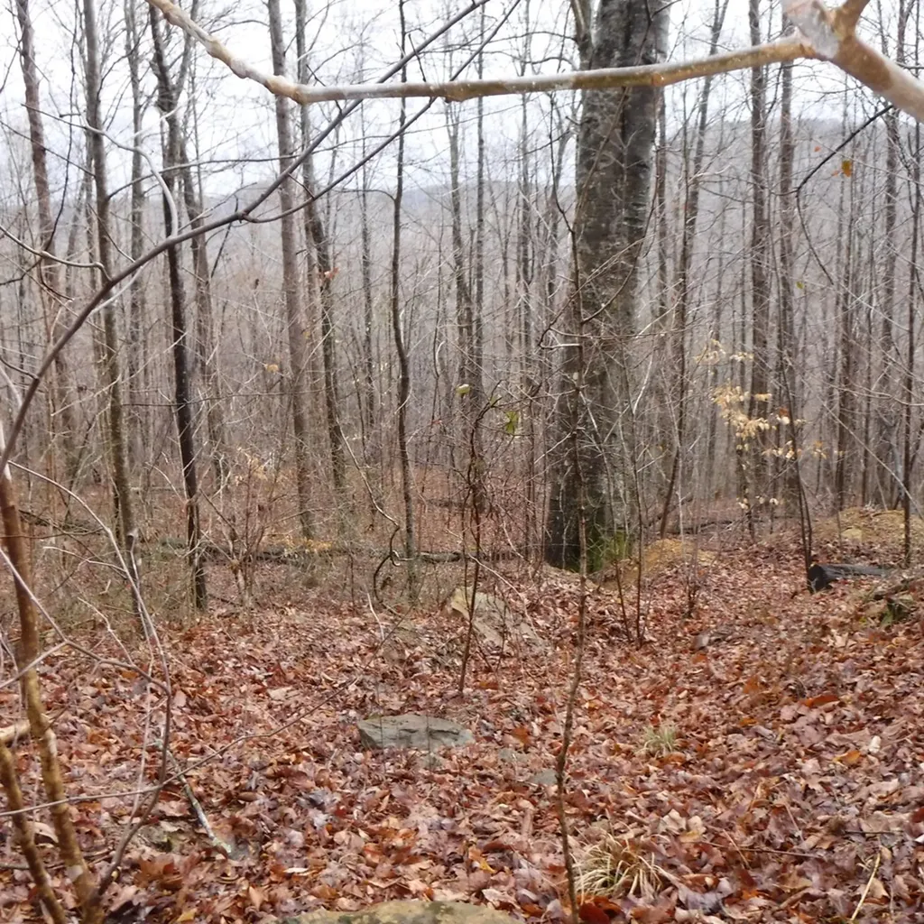 10.85AC Cheyenne Drive Jamestown TN 38556