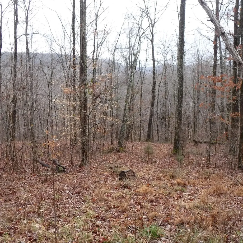 10.85AC Cheyenne Drive Jamestown TN 38556