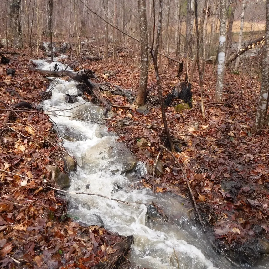 10.85AC Cheyenne Drive Jamestown TN 38556