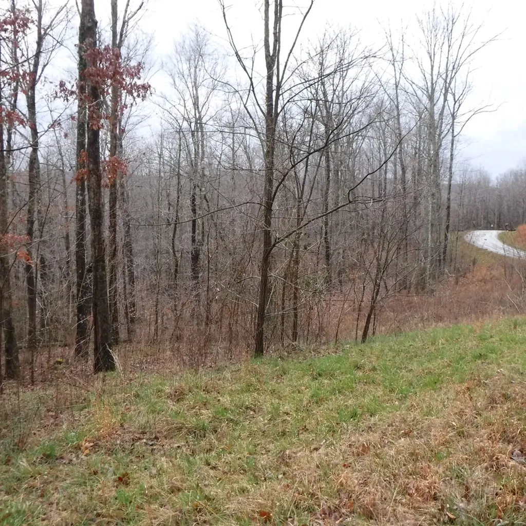 10.85AC Cheyenne Drive Jamestown TN 38556