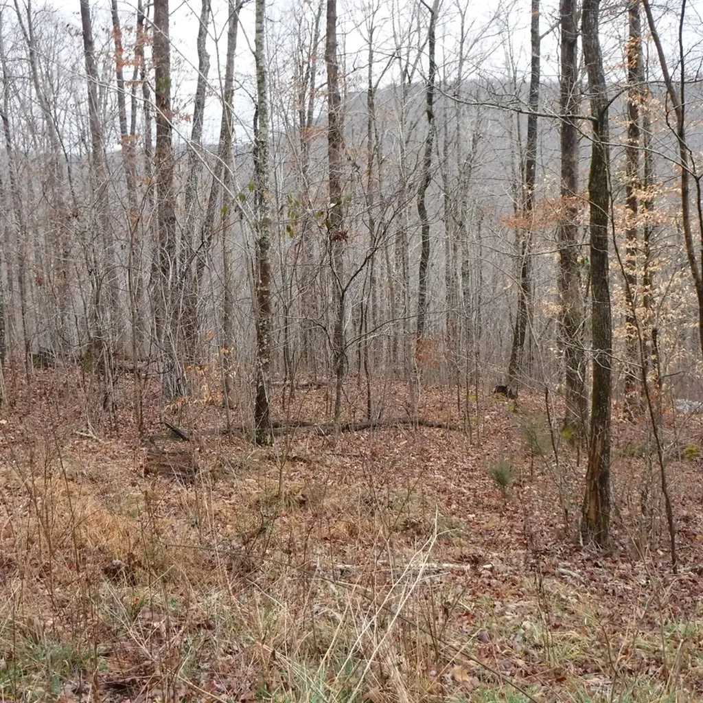 10.85AC Cheyenne Drive Jamestown TN 38556