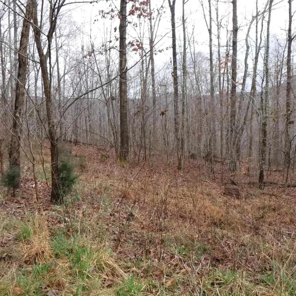 10.85AC Cheyenne Drive Jamestown TN 38556