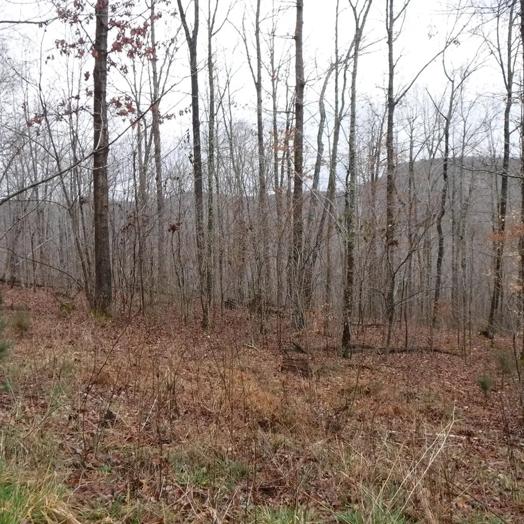 10.85AC Cheyenne Drive Jamestown TN 38556