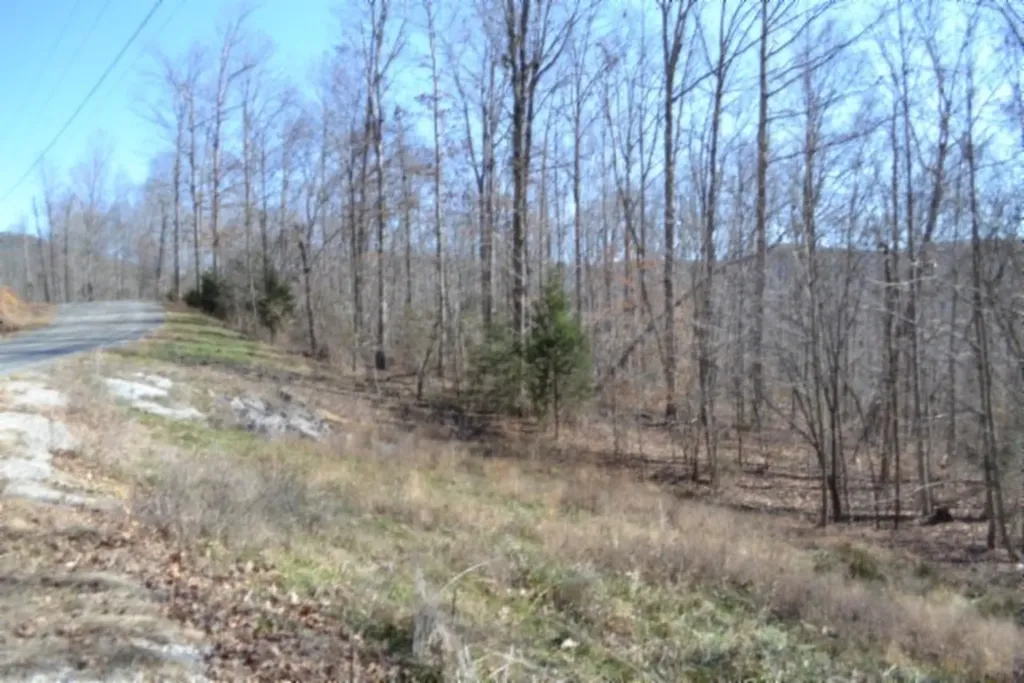 10.85AC Cheyenne Drive Jamestown TN 38556