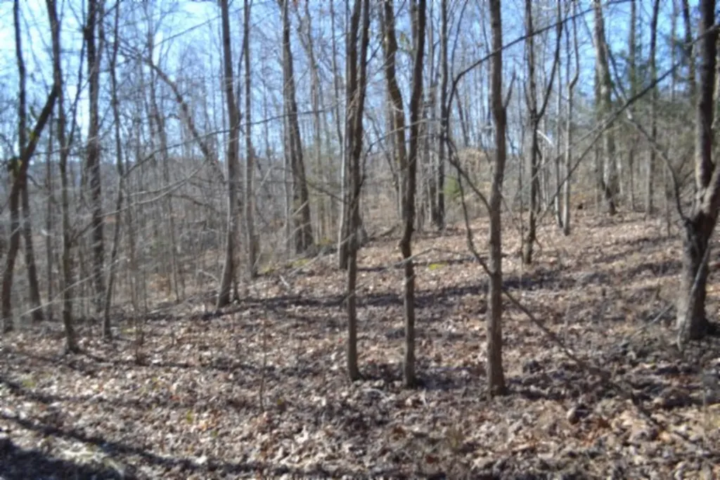 10.85AC Cheyenne Drive Jamestown TN 38556
