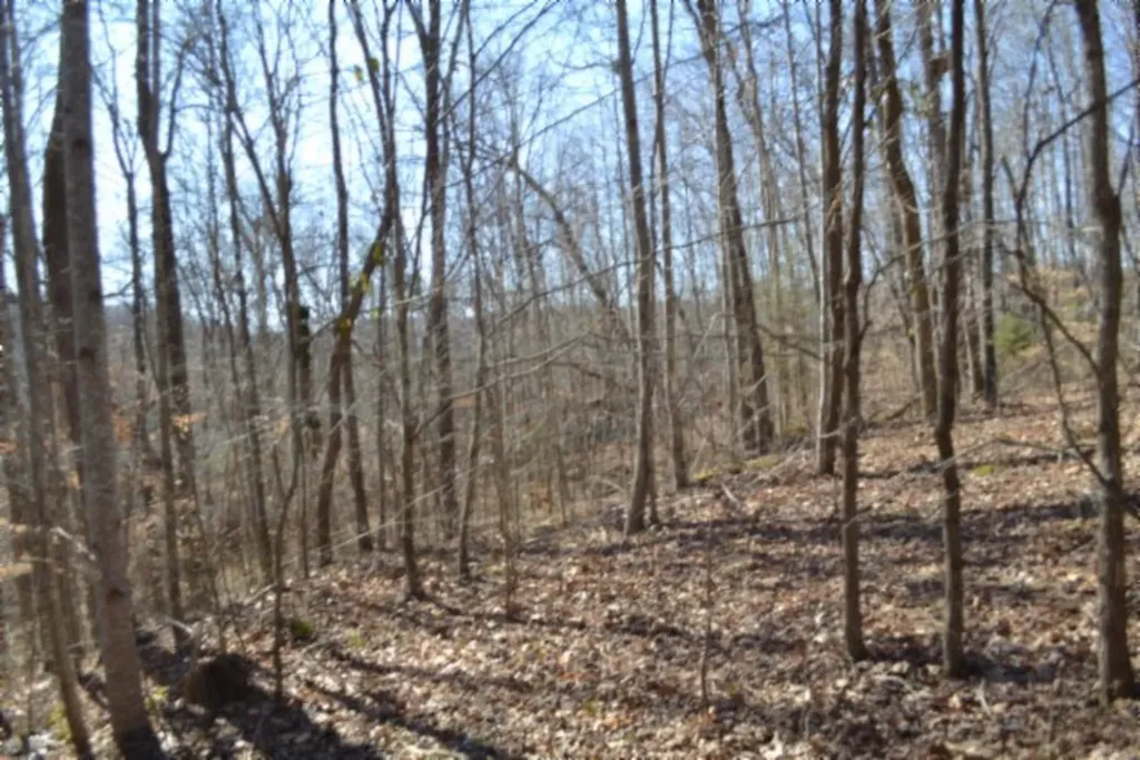 10.85AC Cheyenne Drive Jamestown TN 38556
