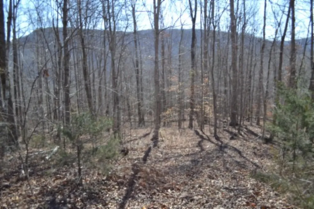 10.85AC Cheyenne Drive Jamestown TN 38556