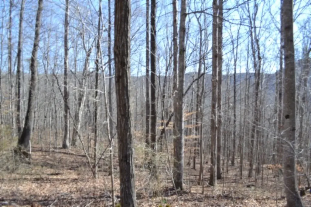 10.85AC Cheyenne Drive Jamestown TN 38556