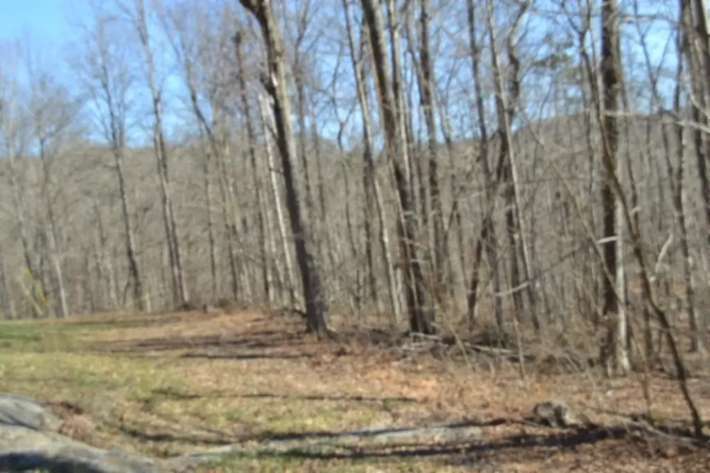 10.85AC Cheyenne Drive Jamestown TN 38556