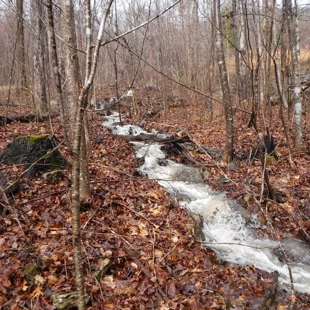 10.85AC Cheyenne Drive Jamestown TN 38556