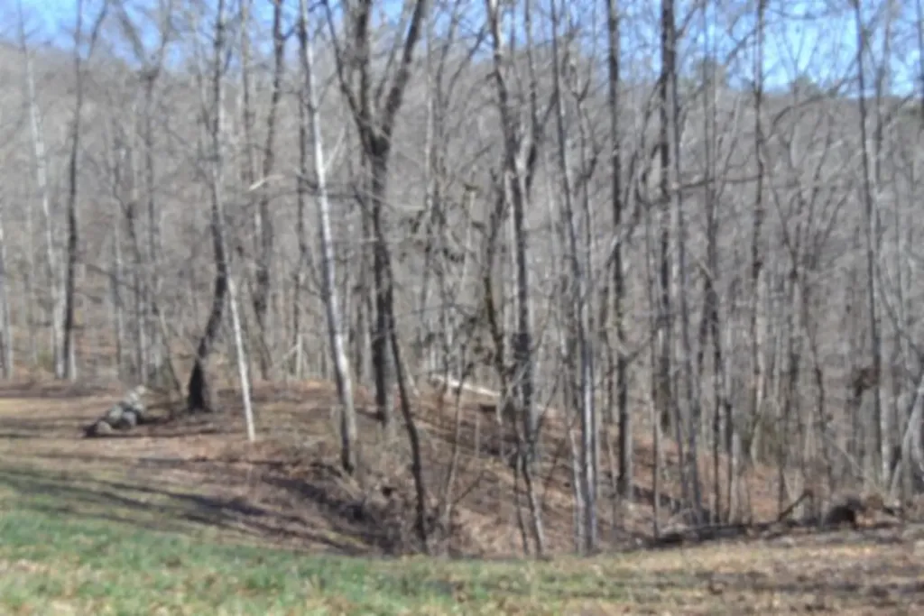 10.85AC Cheyenne Drive Jamestown TN 38556