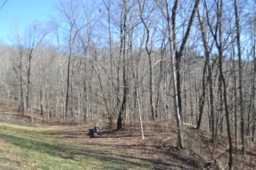 10.85AC Cheyenne Drive Jamestown TN 38556