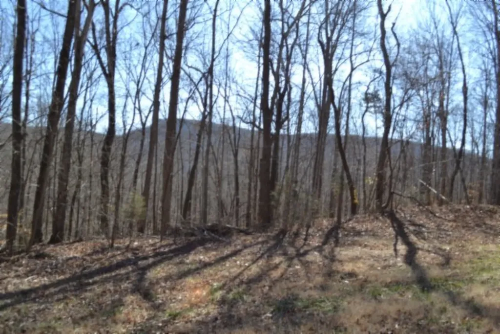 10.85AC Cheyenne Drive Jamestown TN 38556