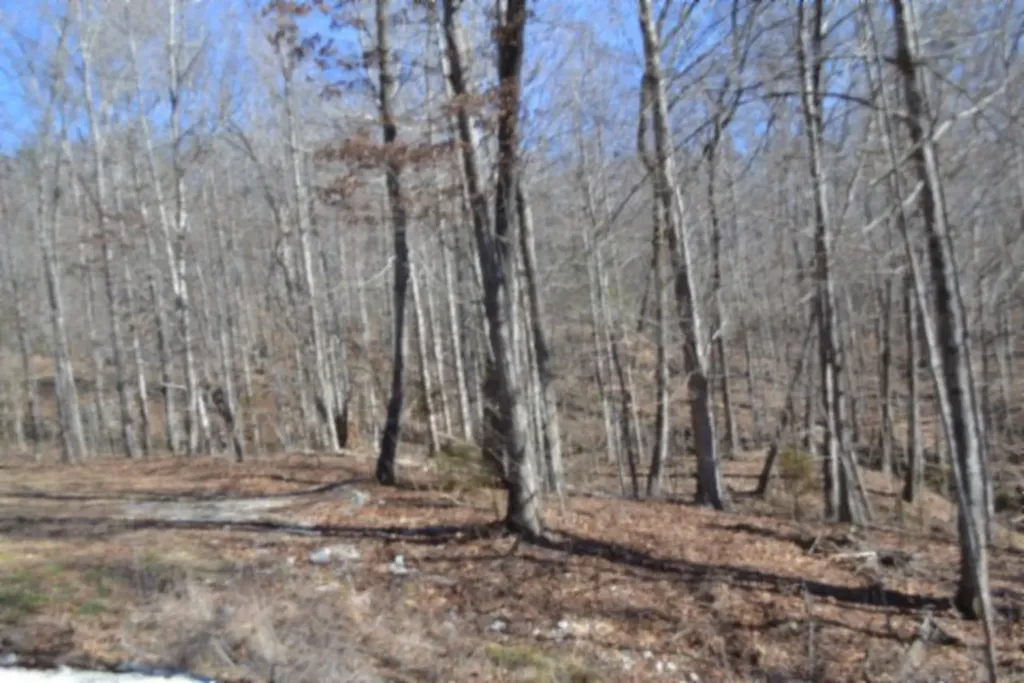 10.85AC Cheyenne Drive Jamestown TN 38556