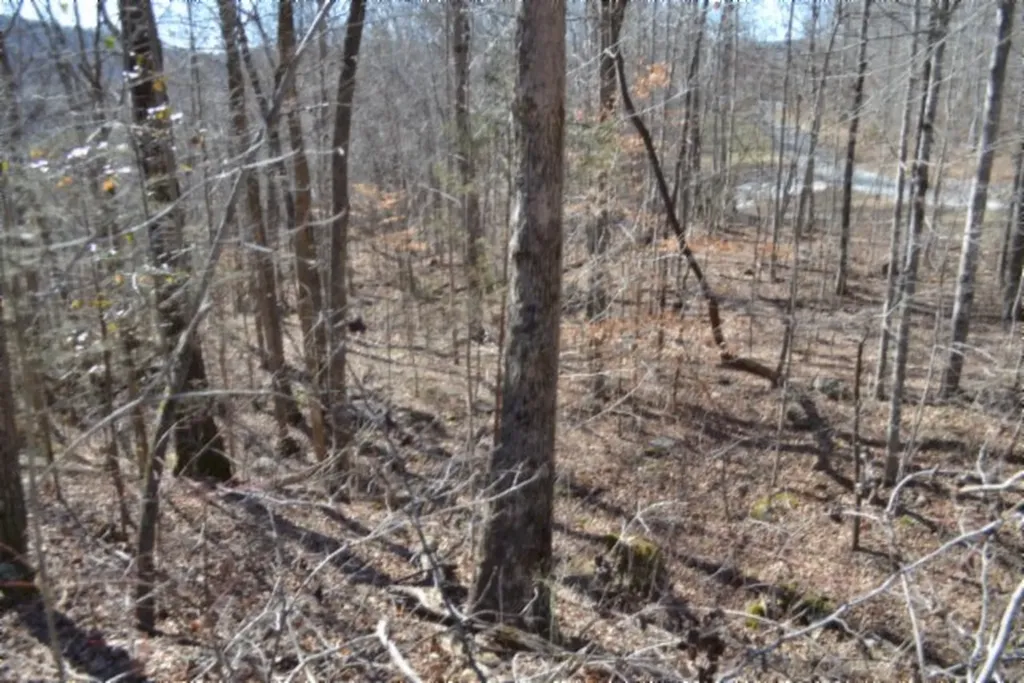 10.85AC Cheyenne Drive Jamestown TN 38556