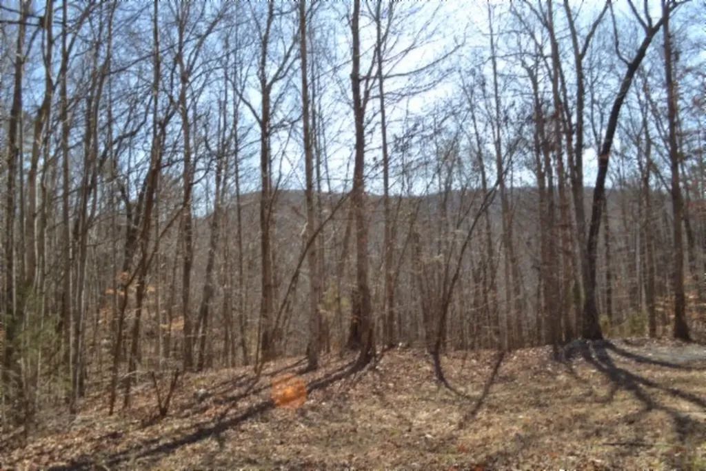 10.85AC Cheyenne Drive Jamestown TN 38556