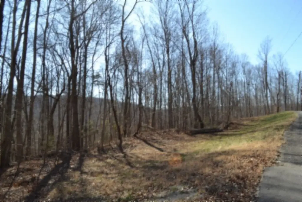 10.85AC Cheyenne Drive Jamestown TN 38556