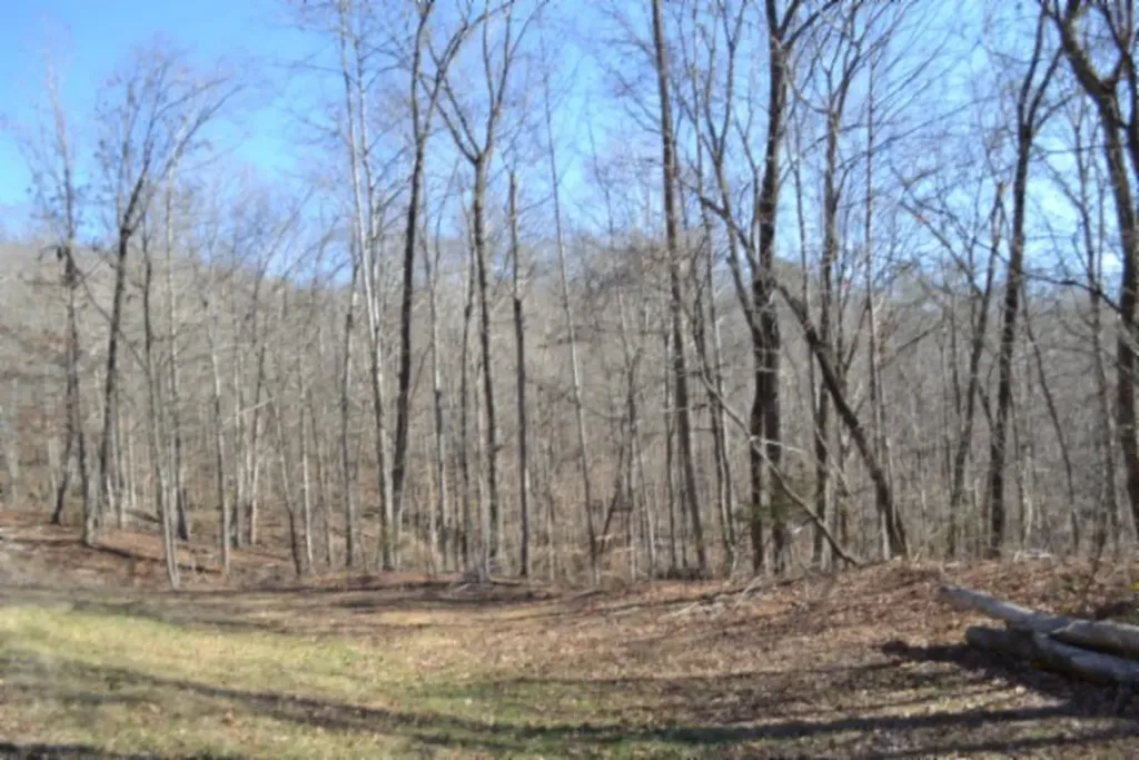 10.85AC Cheyenne Drive Jamestown TN 38556