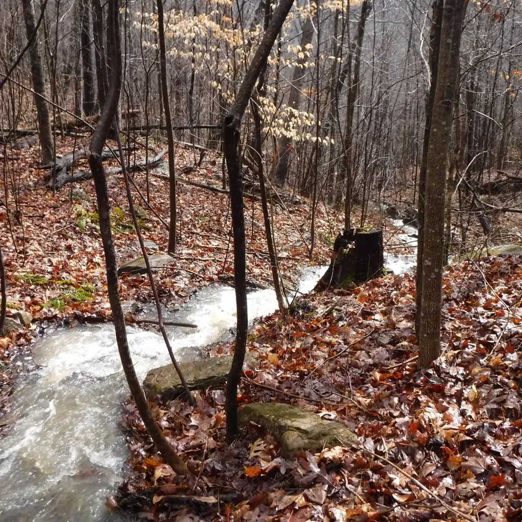 10.85AC Cheyenne Drive Jamestown TN 38556