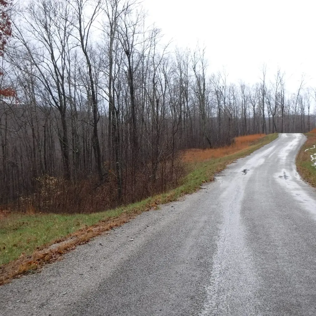 10.85AC Cheyenne Drive Jamestown TN 38556