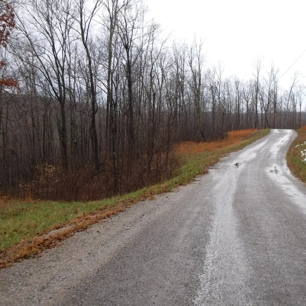10.85AC Cheyenne Drive Jamestown TN 38556