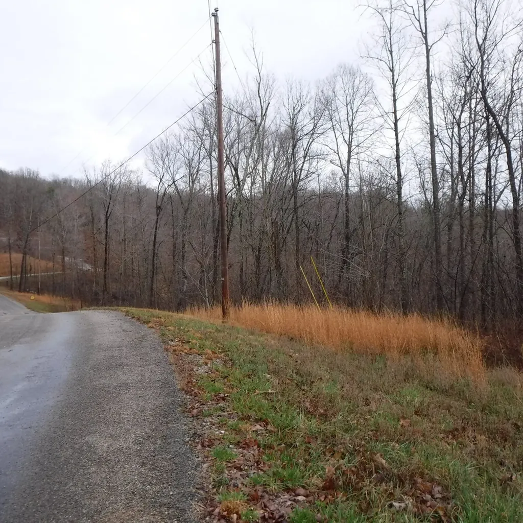 10.85AC Cheyenne Drive Jamestown TN 38556