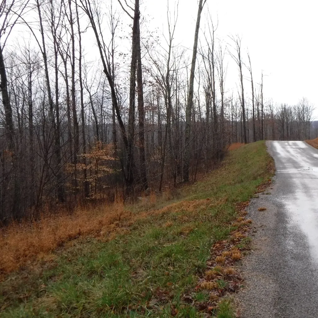 10.85AC Cheyenne Drive Jamestown TN 38556