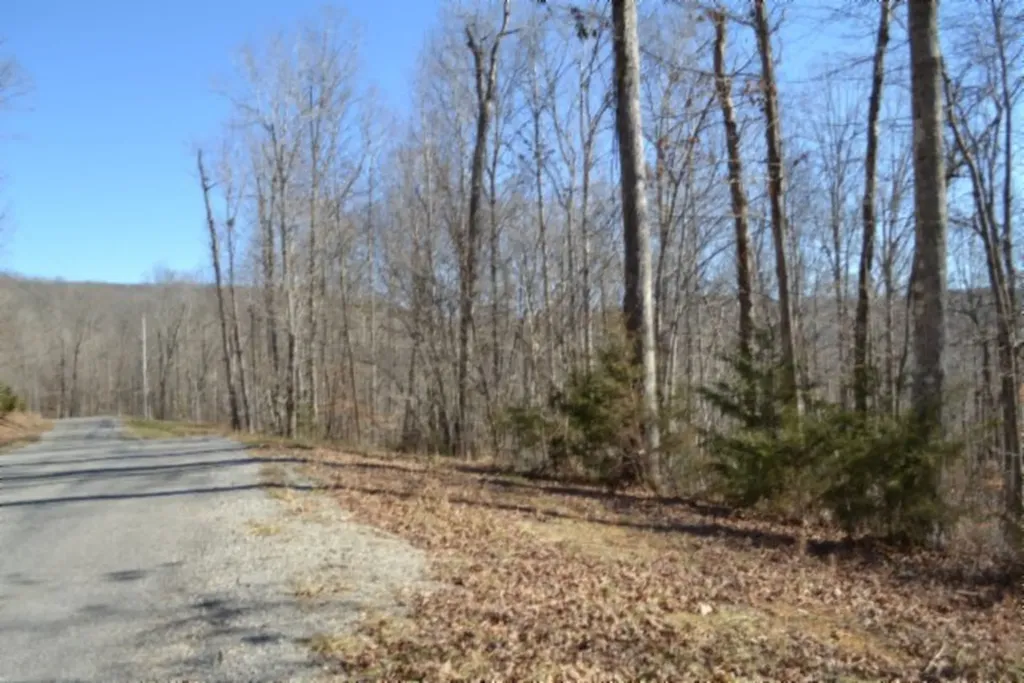 10.85AC Cheyenne Drive Jamestown TN 38556