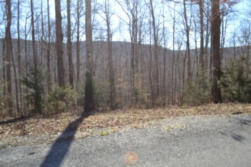 10.85AC Cheyenne Drive Jamestown TN 38556