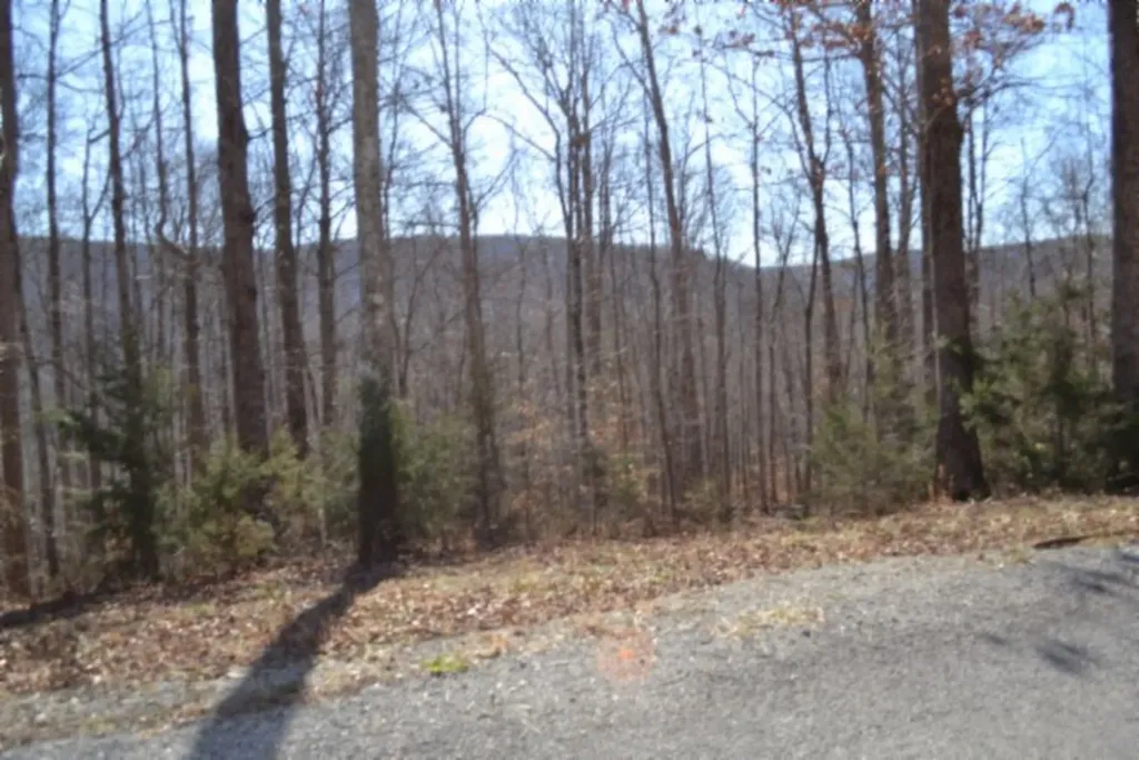 10.85AC Cheyenne Drive Jamestown TN 38556