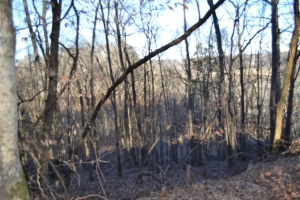 5.52AC Cabin Hill Road Celina TN 38551