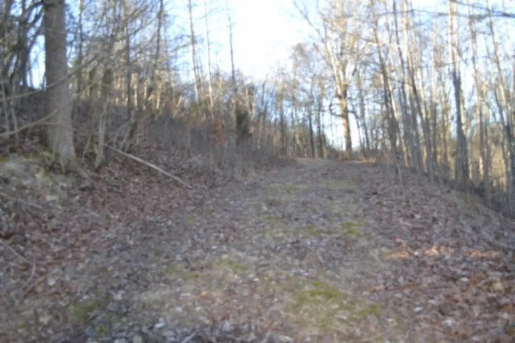 5.52AC Cabin Hill Road Celina TN 38551