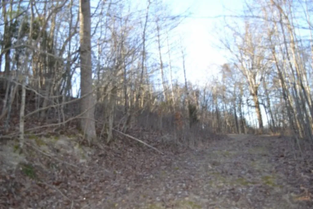 5.52AC Cabin Hill Road Celina TN 38551