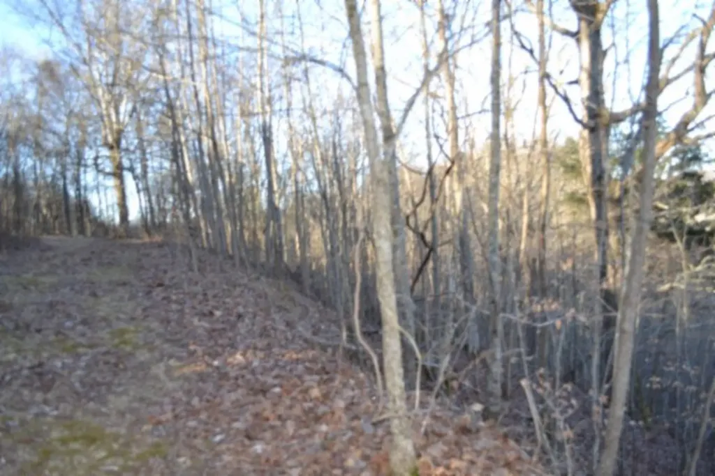 5.52AC Cabin Hill Road Celina TN 38551