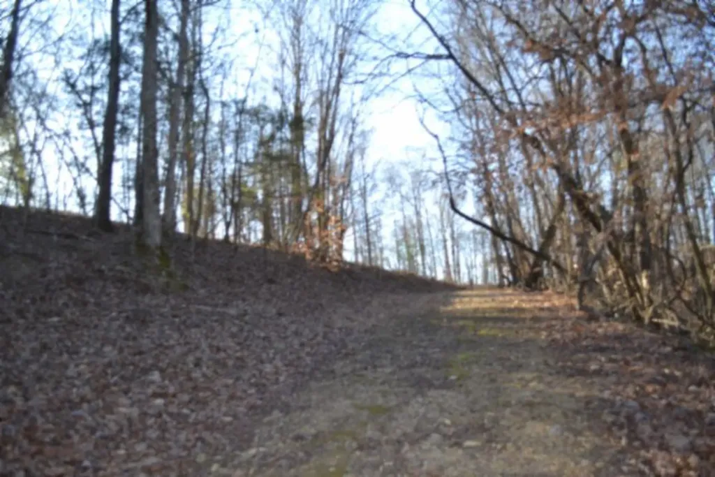 5.52AC Cabin Hill Road Celina TN 38551