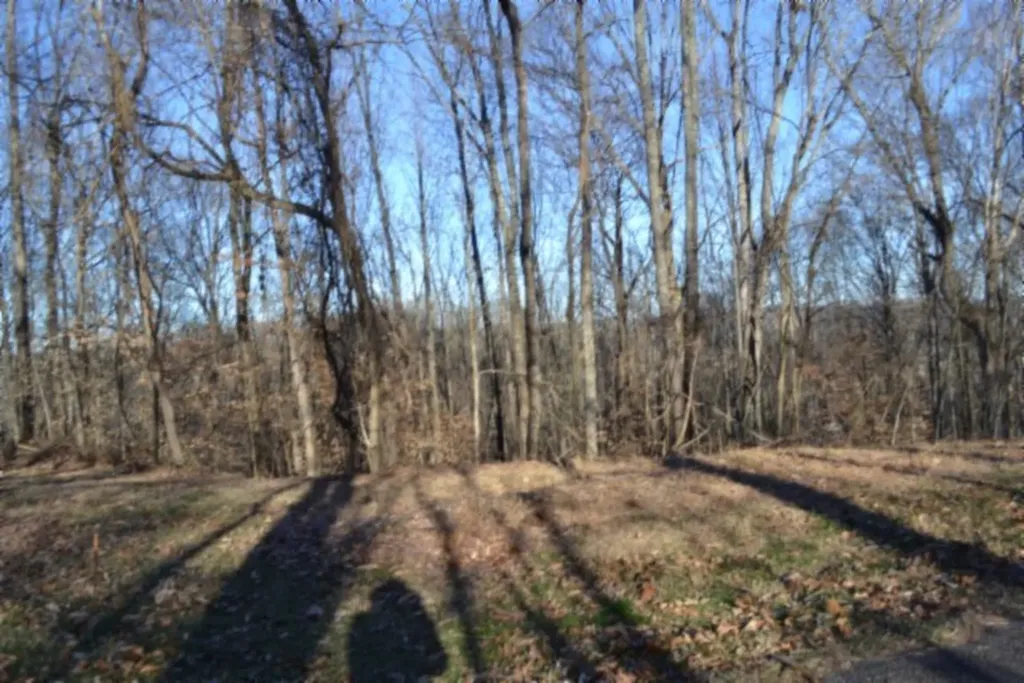 5.52AC Cabin Hill Road Celina TN 38551