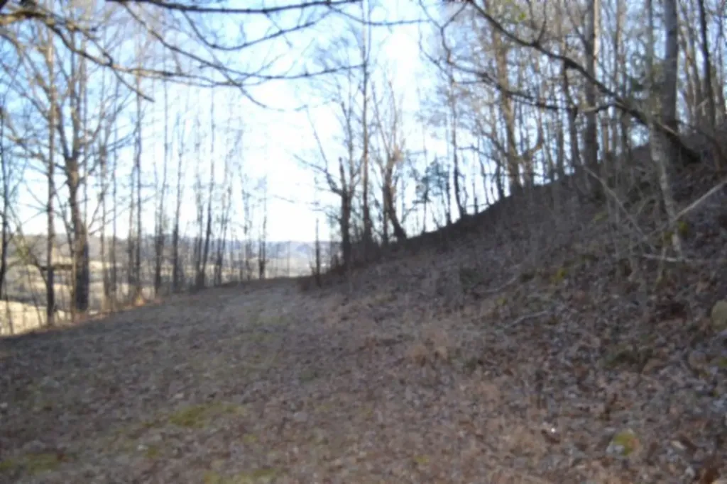 5.52AC Cabin Hill Road Celina TN 38551